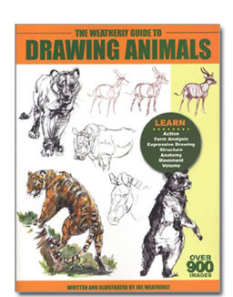 Guide to Drawing Animals