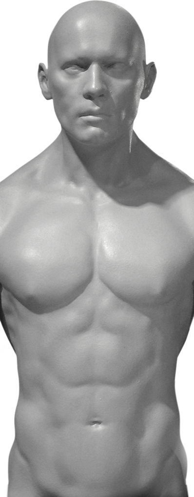 Male torso 3 piece magnetic set