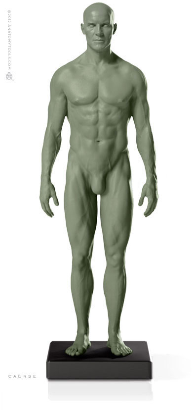 Male 1:6 Proportional fig