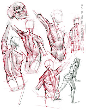 AnatomyTools - Instructor Bio: Michael Hampton