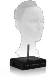 Female figure - Head stand